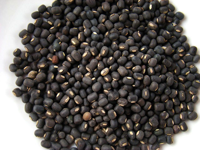 Черный маш (Black Urad)